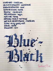 Pilot Fountain Pen Ink Blue Black 70ml - BDpens