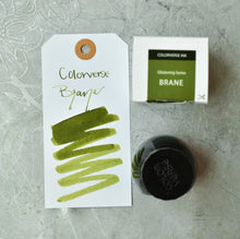 Load image into Gallery viewer, Colorverse Brane Glistening - 30ml Bottled Ink